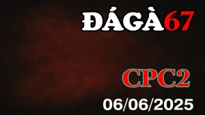 Full Clip Đá Gà Thomo C2 Ngày 06/06/2025