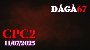 Tổng Hợp Clip Đá Gà Trực Tiếp C2 Ngày 11/07/2025