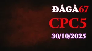 Clip gà chọi trực tiếp C5 full HD ngày 30/10/2025