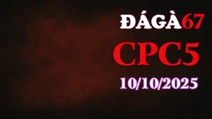 Clip gà chọi trực tiếp C5 full HD ngày 10/10/2025