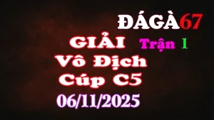 Đá Gà Giải C5: A.CF789 A (0đ-đỏ) vs A.Kẽ săn chim PQ (0đ-xanh)