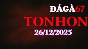 Video Clip Đá Gà Tonhon Hôm Nay 26122025 Mới Nhất