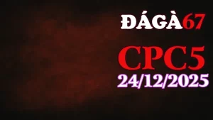 Xem lại clip đá gà Thomo CPC5 hôm nay 24122025