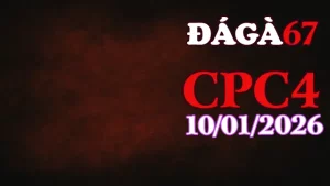 Clip đá gà trực tiếp CPC4 Thomo hôm nay 10012026 HD