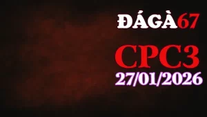 Clip trực tiếp đá gà Thomo CPC3 hôm nay 27012026