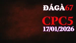 Video đá gà Thomo CPC5 trực tiếp hôm nay 17012026