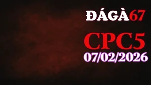 Xem clip đá gà trực tiếp CPC5 hôm nay 07022026