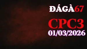 Xem lại Video đá gà trực tiếp CPC3 Ngày 01032026 – Trận đấu đỉnh cao