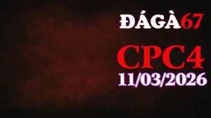 Xem video đá gà trực tiếp CPC4 ngày 11032026 – Trận đấu gà Thomo hấp dẫn